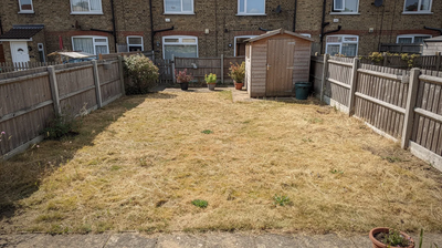 Is My Lawn Dead or Dormant: Why Your Lawn Goes Brown in a Drought (And Why That's Not the Same as Dying)