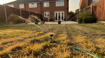 Lawn Recovery After Drought: Reviving Your Lawn or Hosepipe Ban Ends