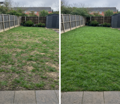 Understanding Why My Lawn Keeps Failing Even When I'm Trying to Fix It