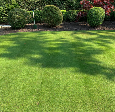 Lawn Fertiliser – Feed Your Way to a Thicker, Greener Lawn