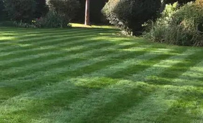 Are Lawn Care Subscription Boxes Worth It for UK Gardens? - GREENER