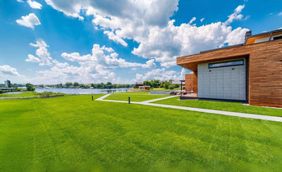 Artificial Grass vs Real Grass: Which is Right for You? - GREENER