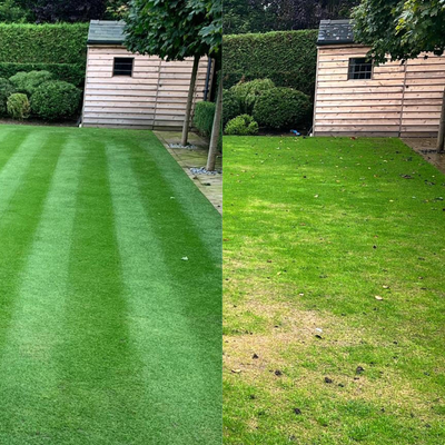 Best Greenthumb Alternative in the UK (2026 Guide) - GREENER