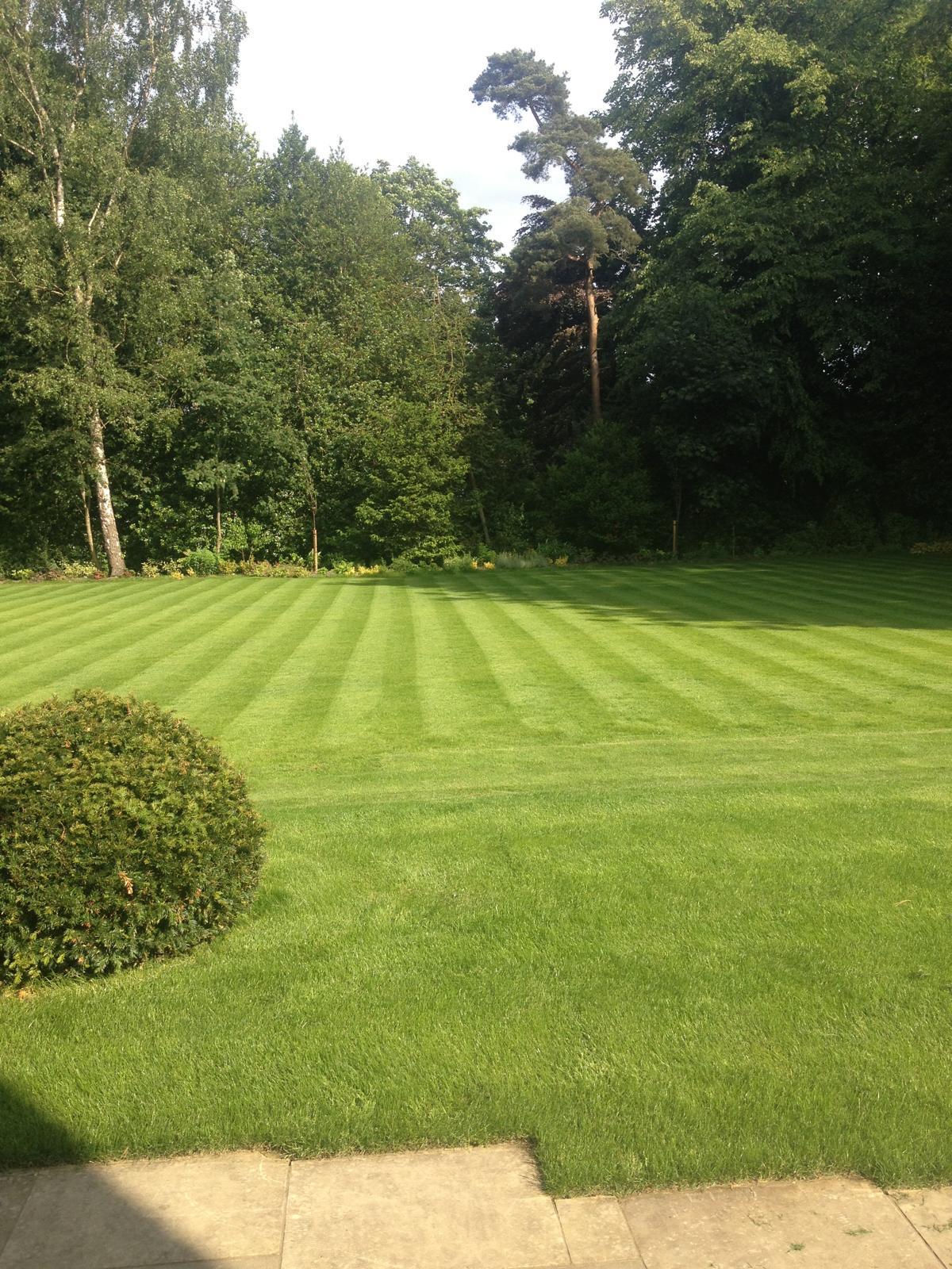 Best Lawn Fertiliser UK: Simple Choices for Thicker, Greener Grass - GREENER