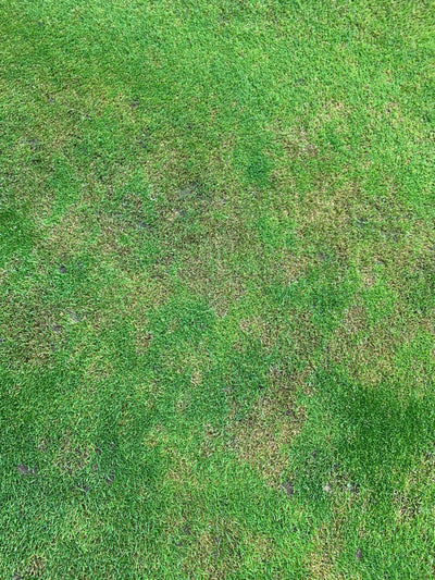 Best Lawn Treatment for Patchy Grass UK (2026 Guide) - GREENER