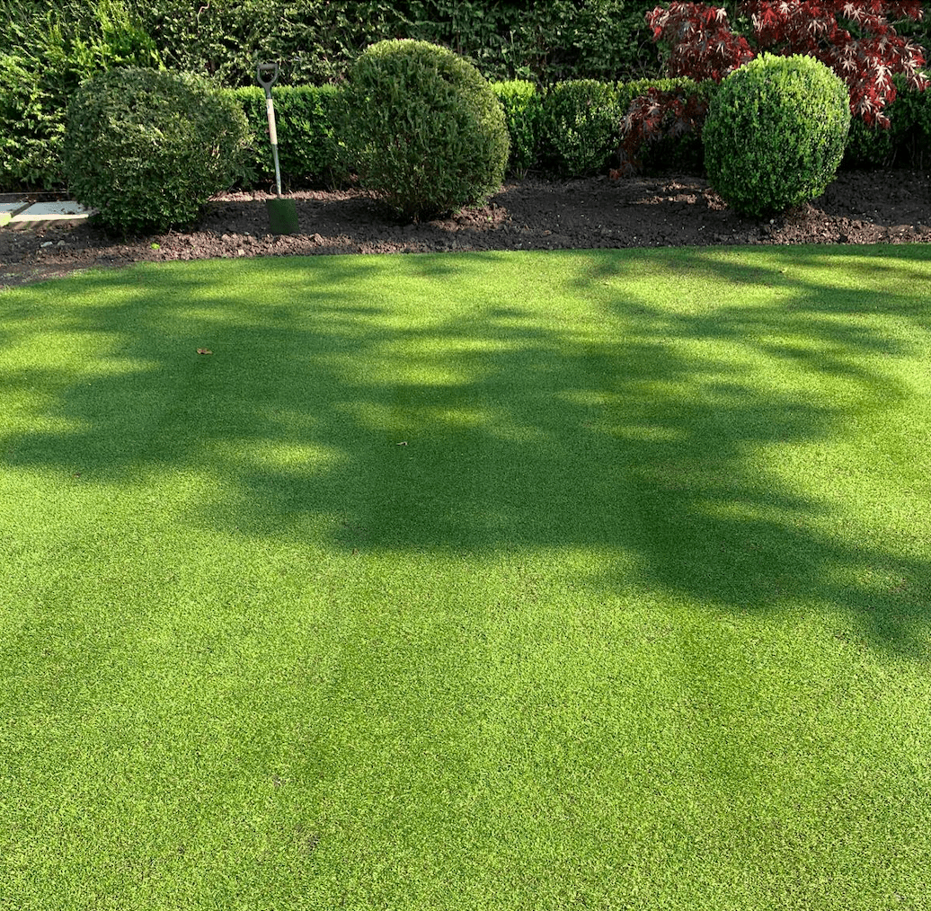 Best Time To Seed Lawn UK: When Is It? - GREENER