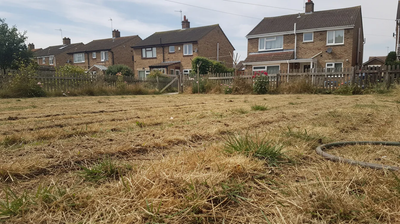 Lawn Care During a Heatwave UK: How to Look After Your Lawn Without a Hosepipe