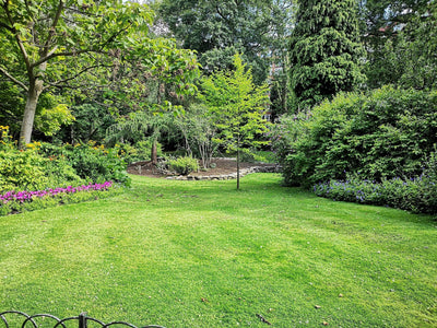DIY Lawn Kit vs Garden Centre: Which Option Delivers the Best Results? - GREENER