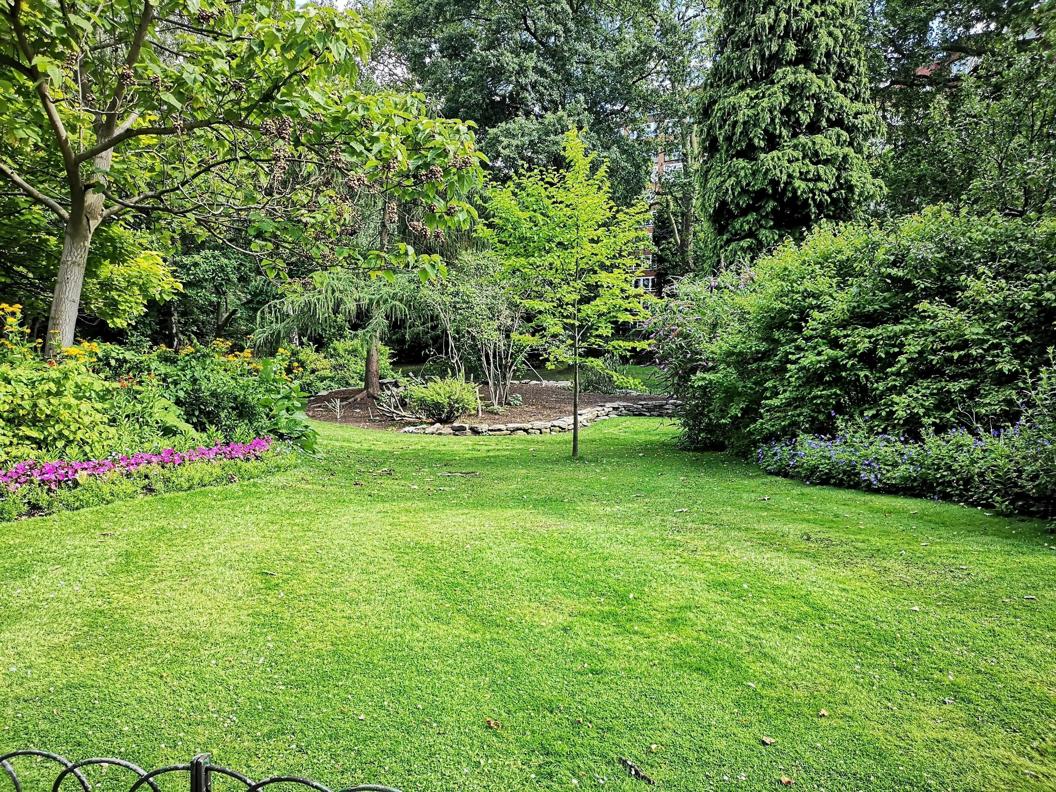 DIY Lawn Kit vs Garden Centre: Which Option Delivers the Best Results? - GREENER
