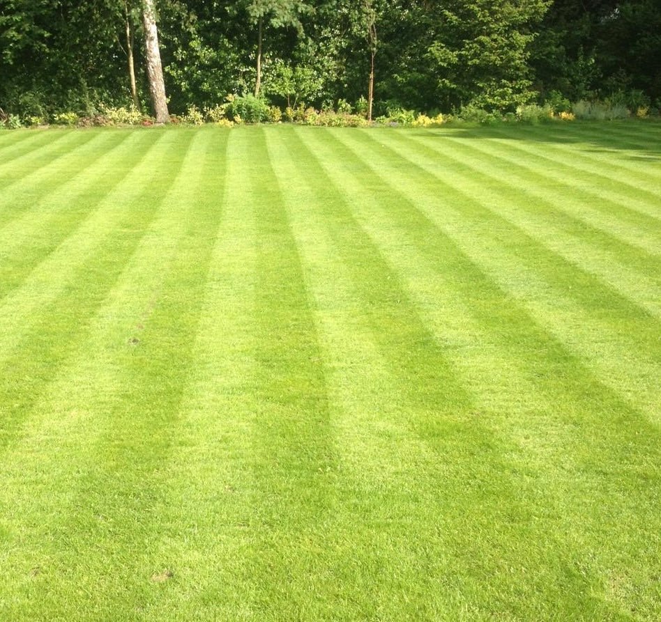 Do It Yourself Lawn Care Vs Paying A Gardener In The UK: Is It Worth The Cost? - GREENER