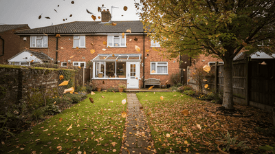 Fallen Leaves and Lawn Damage: When to Clear Them (and When Not To) - GREENER