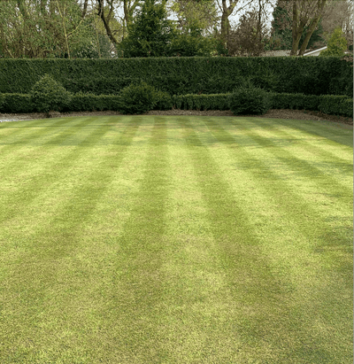 Feed and Seed Not Working? Why Randomly Using Lawn Products Don’t Work - GREENER