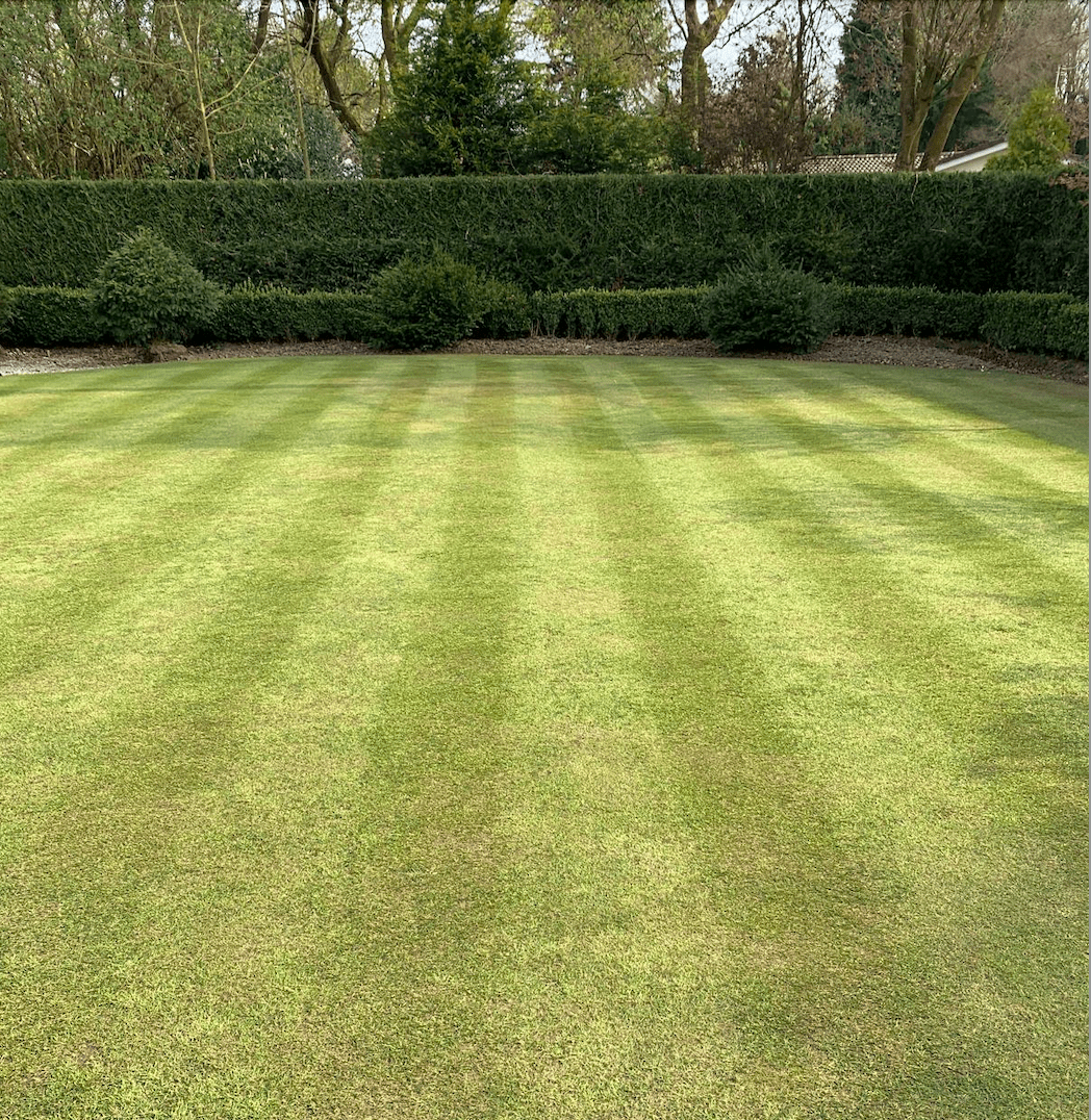 Feed and Seed Not Working? Why Randomly Using Lawn Products Don’t Work - GREENER