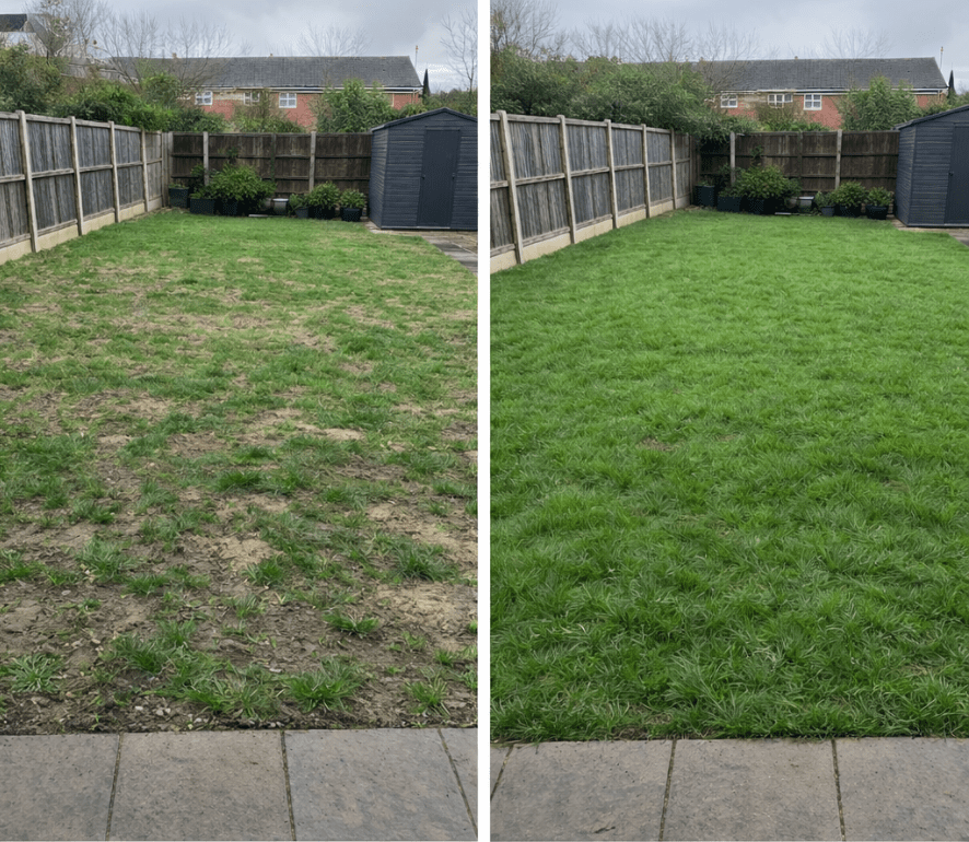 Fixing Patchy Lawn UK: New House, Bad Lawn? Here's How to Do It Properly - GREENER