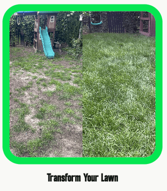 GREENER Lawn Transformation Kit Results: Week-by-Week UK Timeline - GREENER
