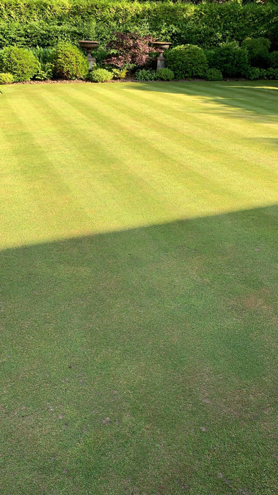 How to Fix a Patchy Lawn Fast (UK Homeowner’s Guide) - GREENER