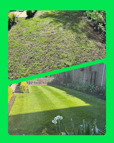 How to Make Your Grass Greener Fast in the UK (Without Damaging Your Lawn) - GREENER