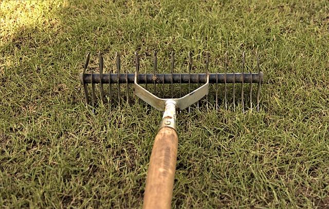 How to Scarify a Lawn UK (And What to Do Straight After) - GREENER