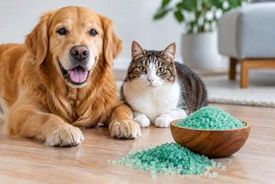Is Iron Sulphate Pet Safe? A Practical UK Guide - GREENER