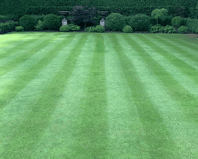 Lawn Care Calendar UK: What To Do Each Season - GREENER
