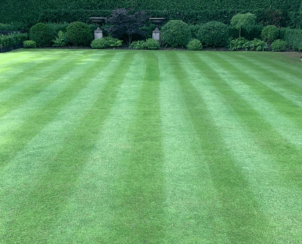 Lawn Care Calendar UK: What To Do Each Season - GREENER
