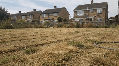 Lawn Care During a Heatwave UK: How to Look After Your Lawn Without a Hosepipe - GREENER