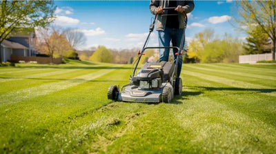 Month by Month Lawn Care Calendar UK (with the GREENER System) - GREENER