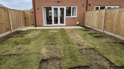 New House Bad Lawn UK: Why Does My New House Have Such a Terrible Lawn? - GREENER
