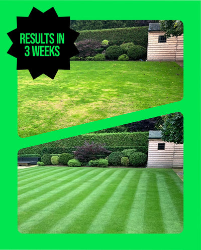 The Complete Guide to the Lawn Care Subscription Box in the UK (2026) - GREENER