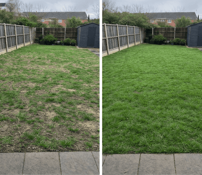 Understanding Why My Lawn Keeps Failing Even When I'm Trying to Fix It - GREENER