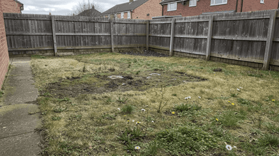 What's Wrong With My Lawn? How to Diagnose and Fix the Six Most Common UK Lawn Problems - GREENER