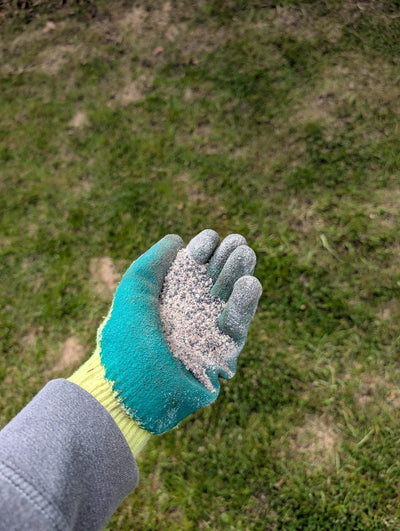 When Is The Best Time to Treat A Lawn In The UK? - GREENER