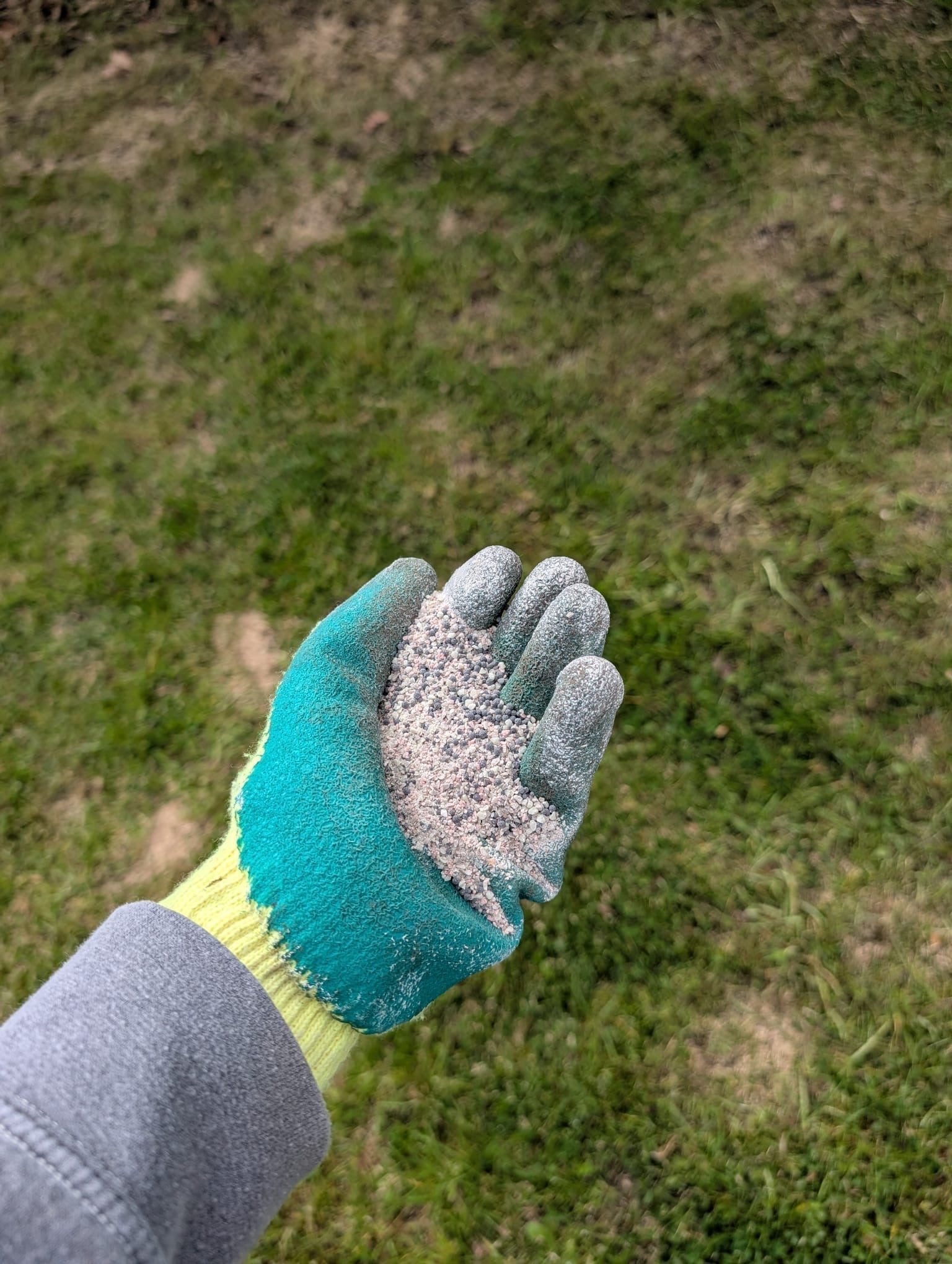When Is The Best Time to Treat A Lawn In The UK? - GREENER