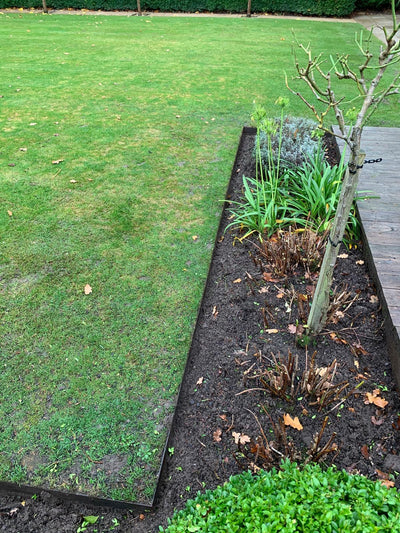 Why Is My Lawn Not Growing? (And How to Fix It) - GREENER