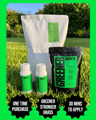 Why Lawn Treatments Don't Work (And What Actually Does) - GREENER