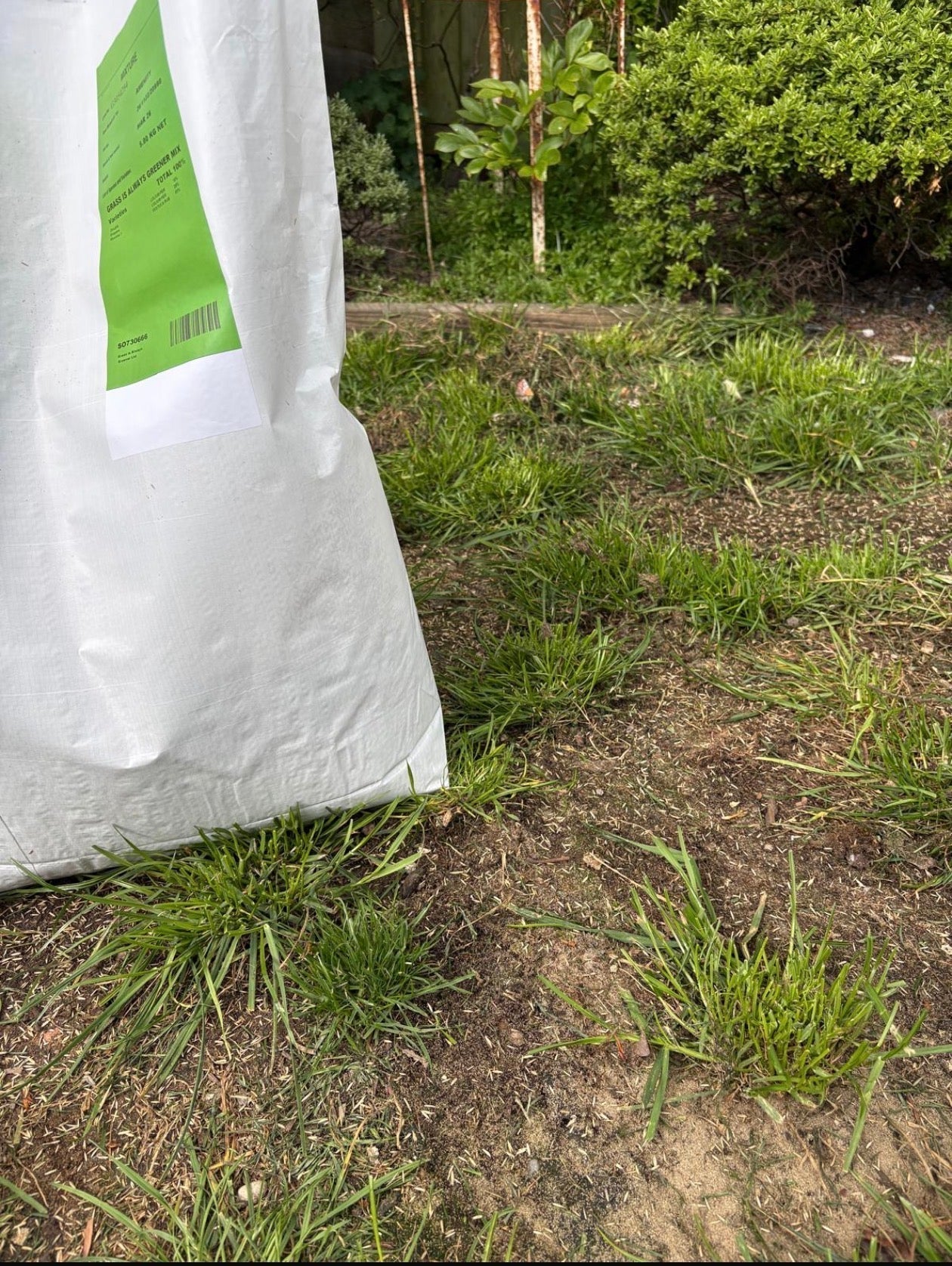Why Your Lawn Is Patchy in the UK (And How to Fix It for Good) - GREENER