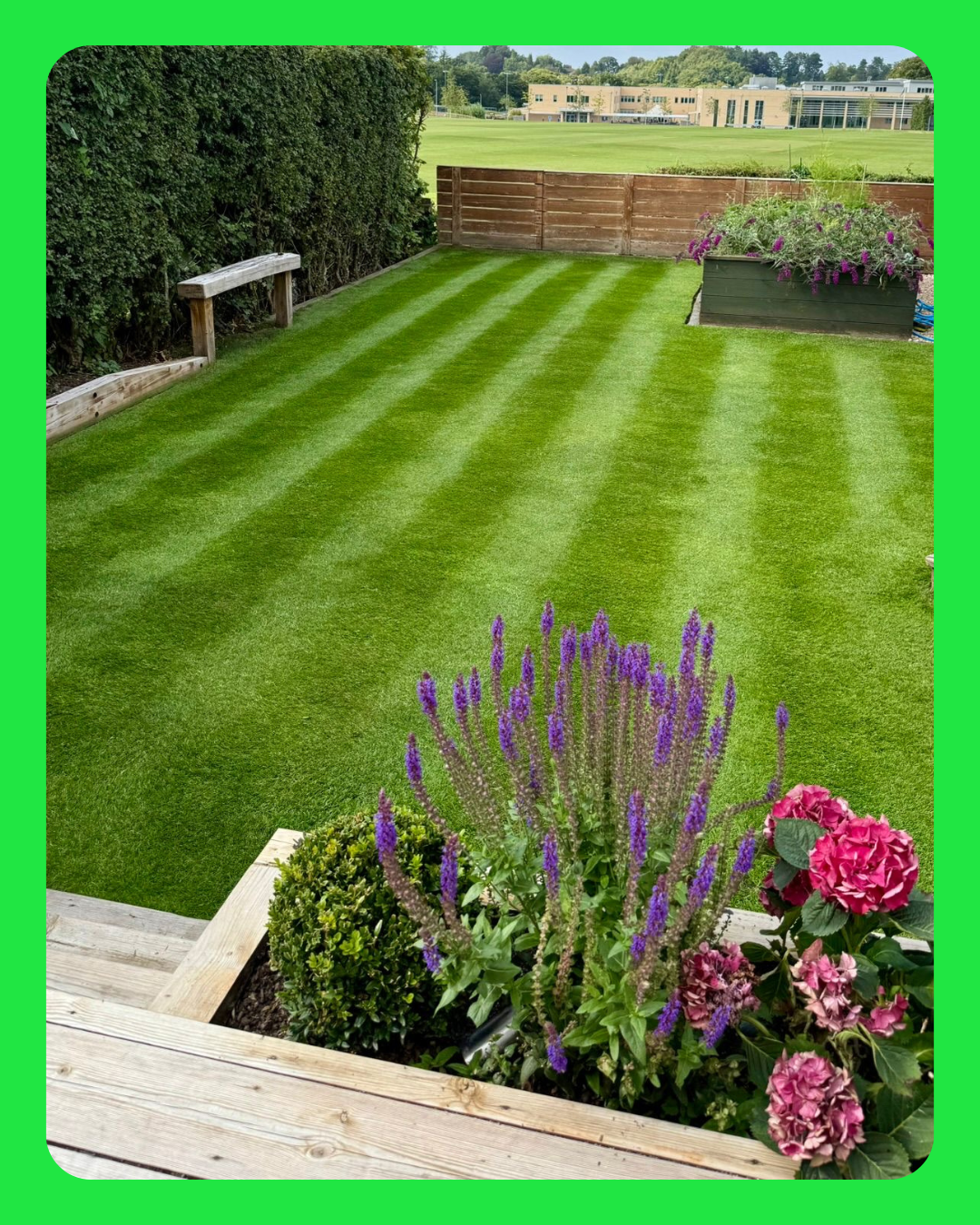 Why Your Lawn Still Looks Bad After Overseeding - GREENER