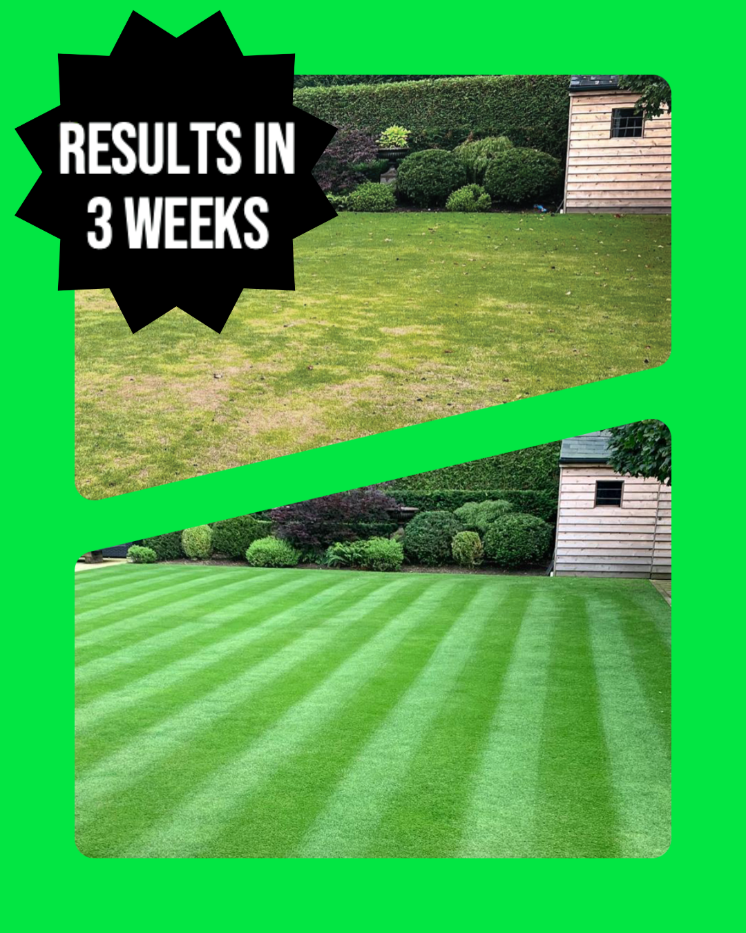 The Transformation Kit GREENER