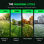 Seasonal Care Subscription - GREENER