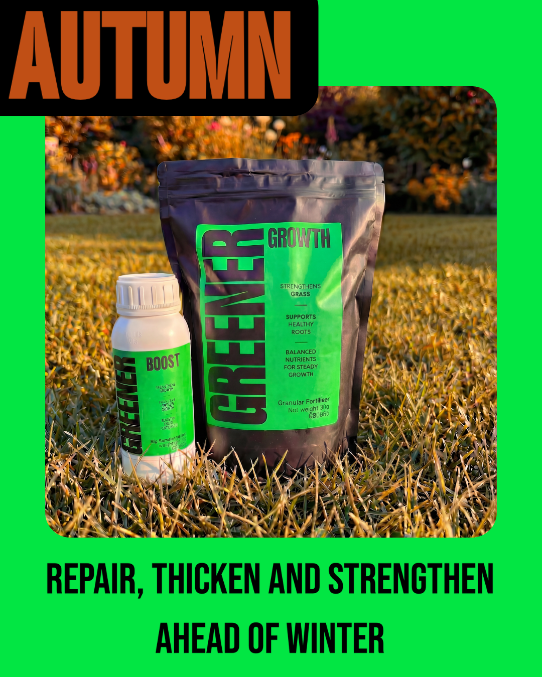 Seasonal Care Subscription (Pay Later) - GREENER