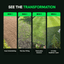 The Lawn Transformation Kit - GREENER