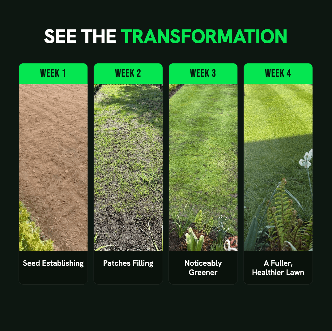 The Lawn Transformation Kit - GREENER