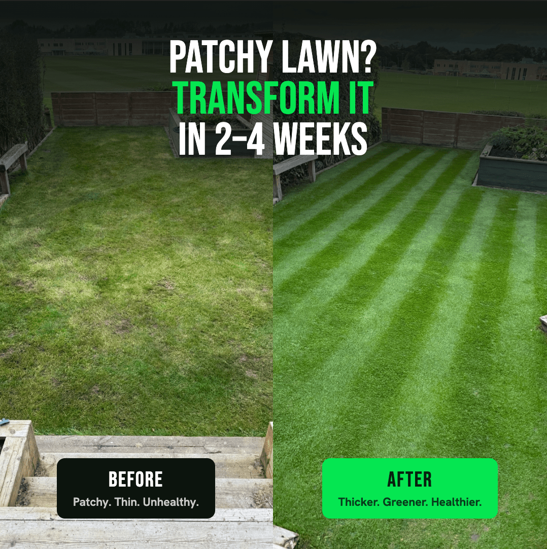 The Lawn Transformation Kit - GREENER