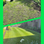 The Lawn Transformation Kit - GREENER