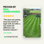 The Lawn Transformation Kit - GREENER