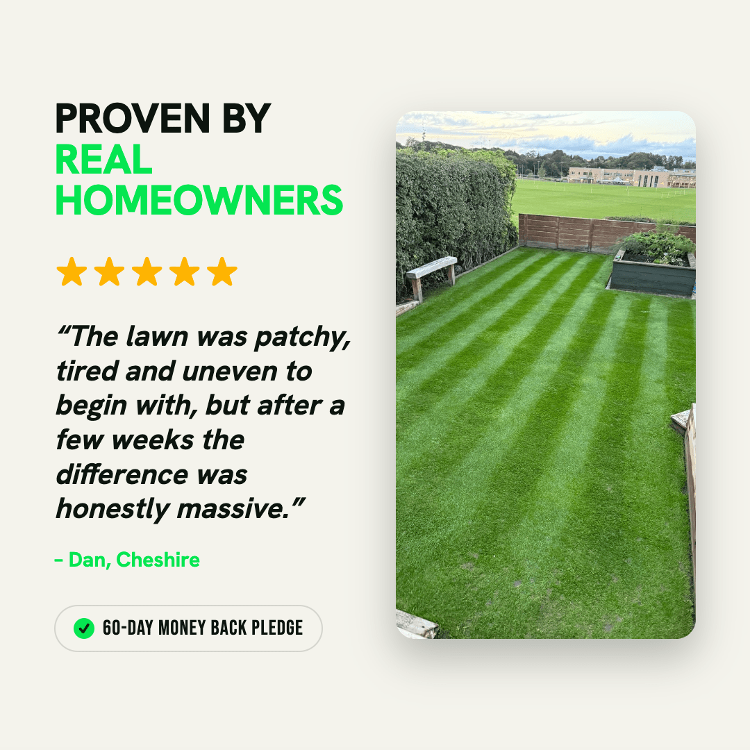 The Lawn Transformation Kit - GREENER