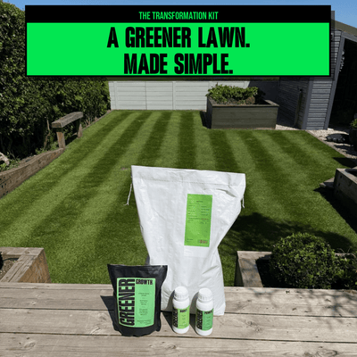 The Lawn Transformation Kit - GREENER